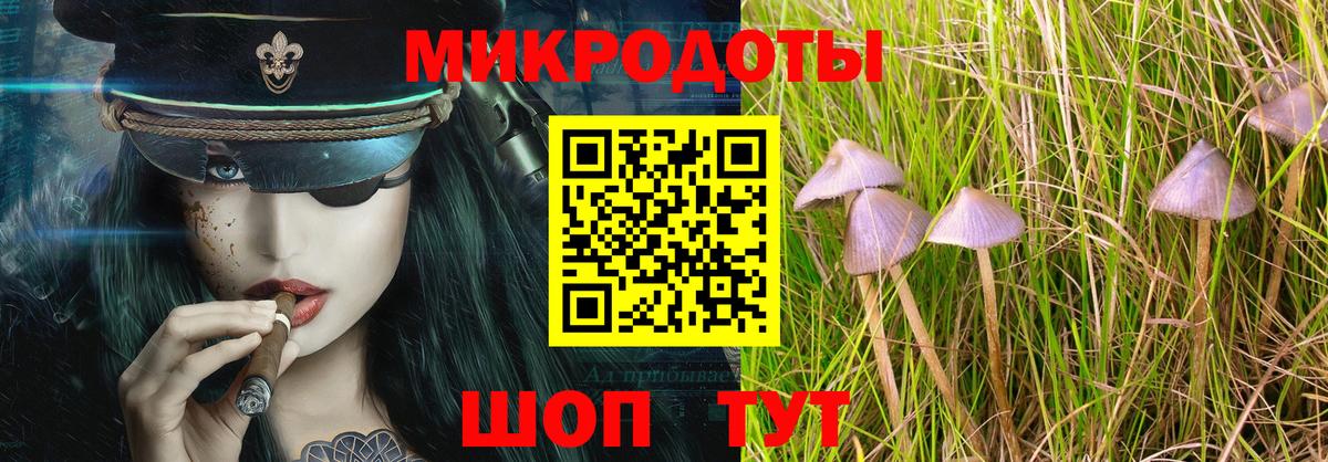 Псилоцибиновые грибы прущие грибы  продажа наркотиков  Можга  Вход с VPN 