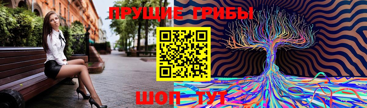 Псилоцибиновые грибы мицелий Можга